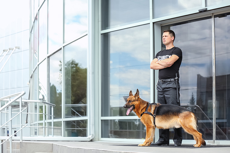 Security Guard Cv in Oldham Greater Manchester